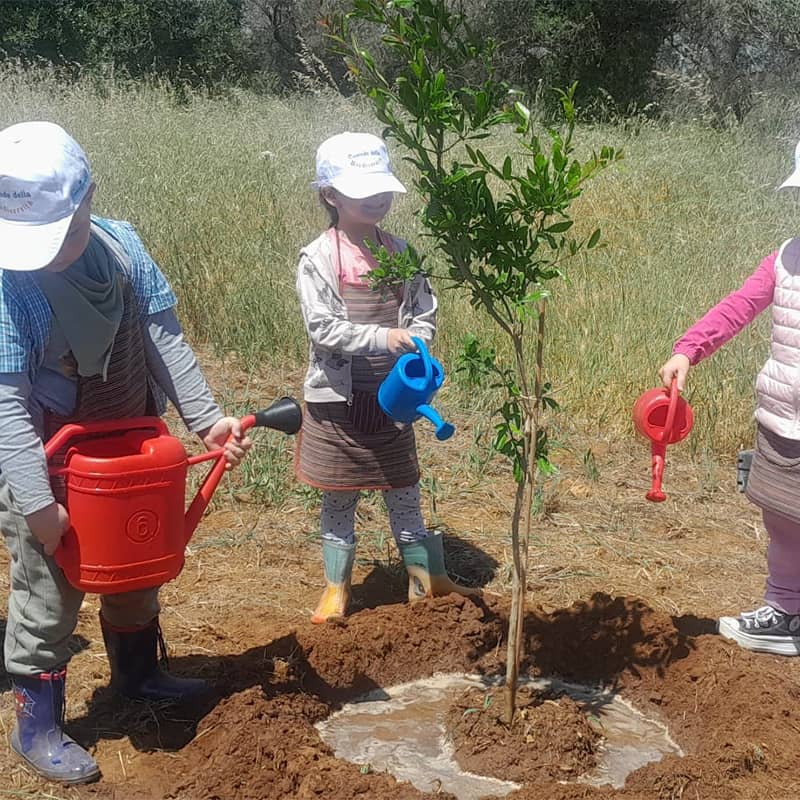 bambini annaffiano pianta