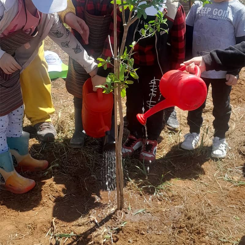 bambini annaffiano piantina